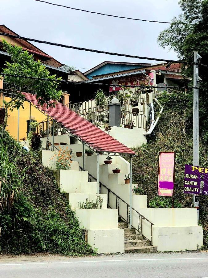 Sakura Guest House Cameron Highlands Exterior foto