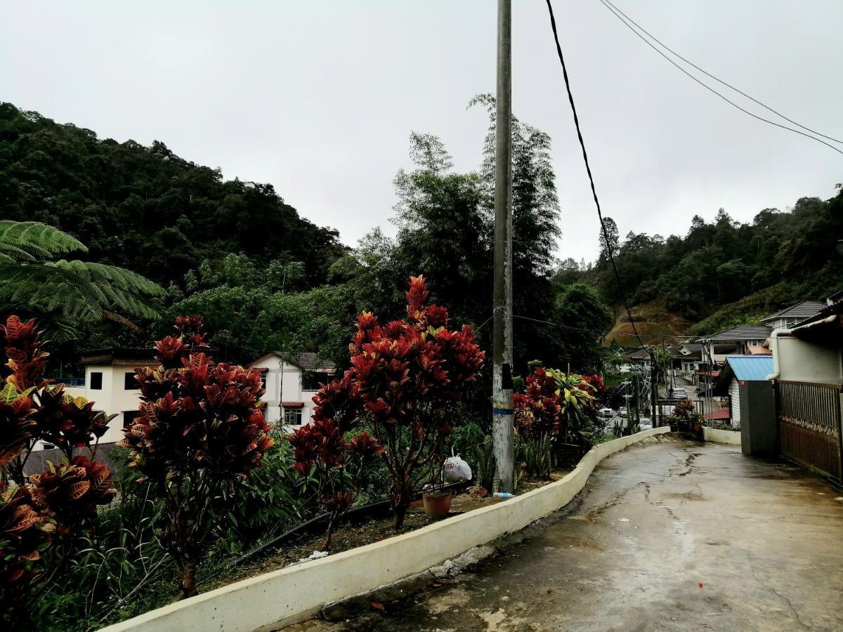 Sakura Guest House Cameron Highlands Exterior foto